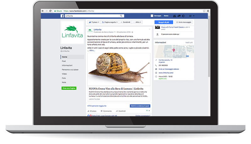 Pagina Facebook Linfavita
